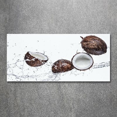 Tableau sur verre acrylique Noix de coco et eau