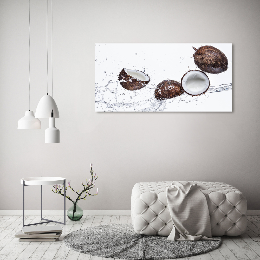 Tableau sur verre acrylique Noix de coco et eau