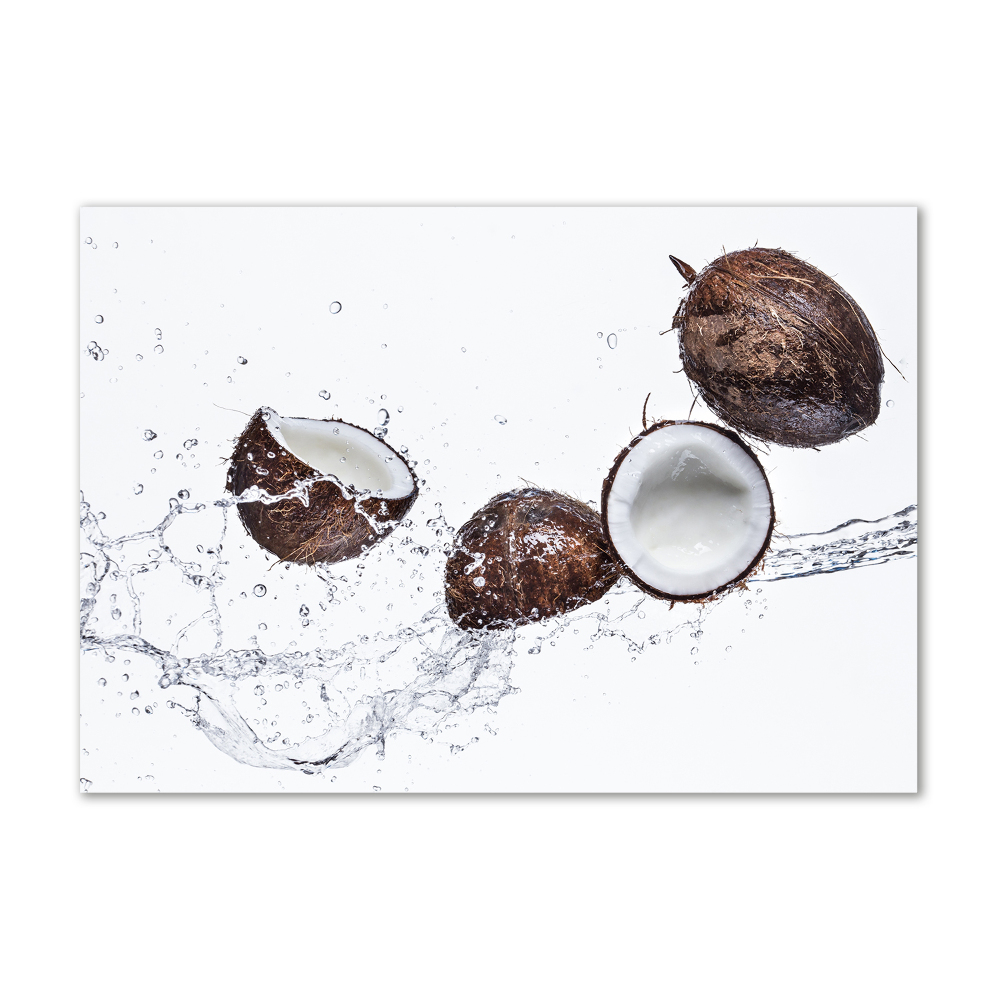 Tableau sur verre acrylique Noix de coco et eau