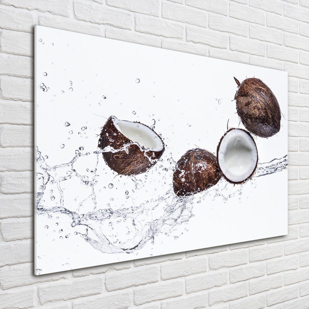 Tableau sur verre acrylique Noix de coco et eau