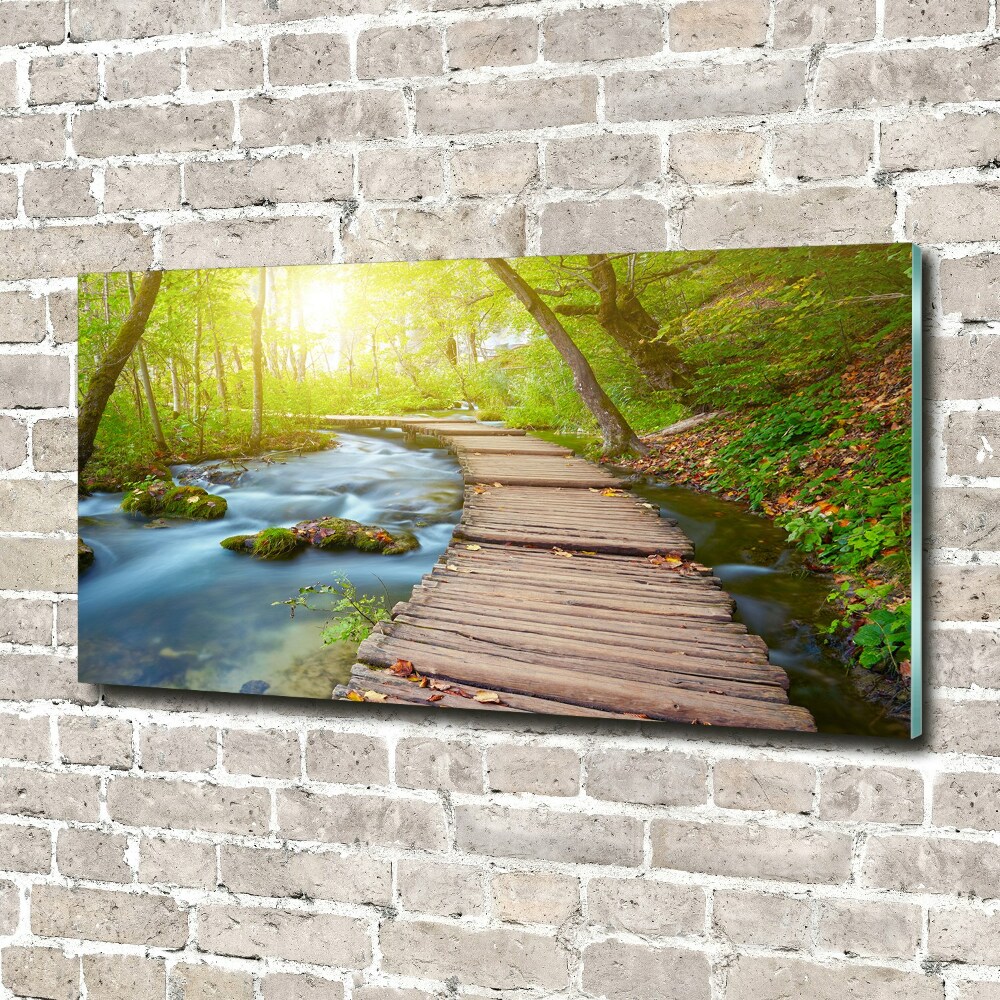 Tableau en acrylique Sentier dans la forêt