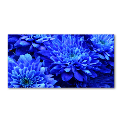 Tableau verre acrylique Aster bleu