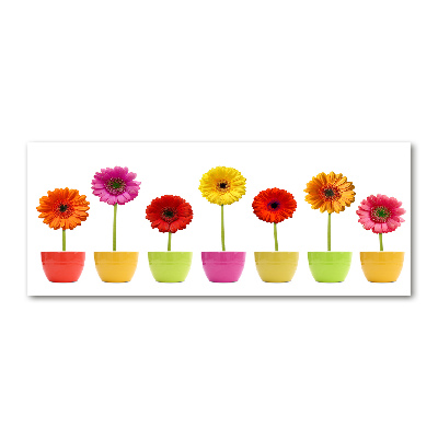 Tableau en acrylique Gerberas colorés