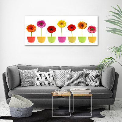 Tableau en acrylique Gerberas colorés