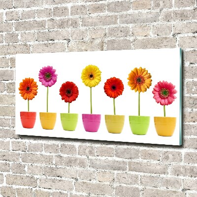 Tableau en acrylique Gerberas colorés