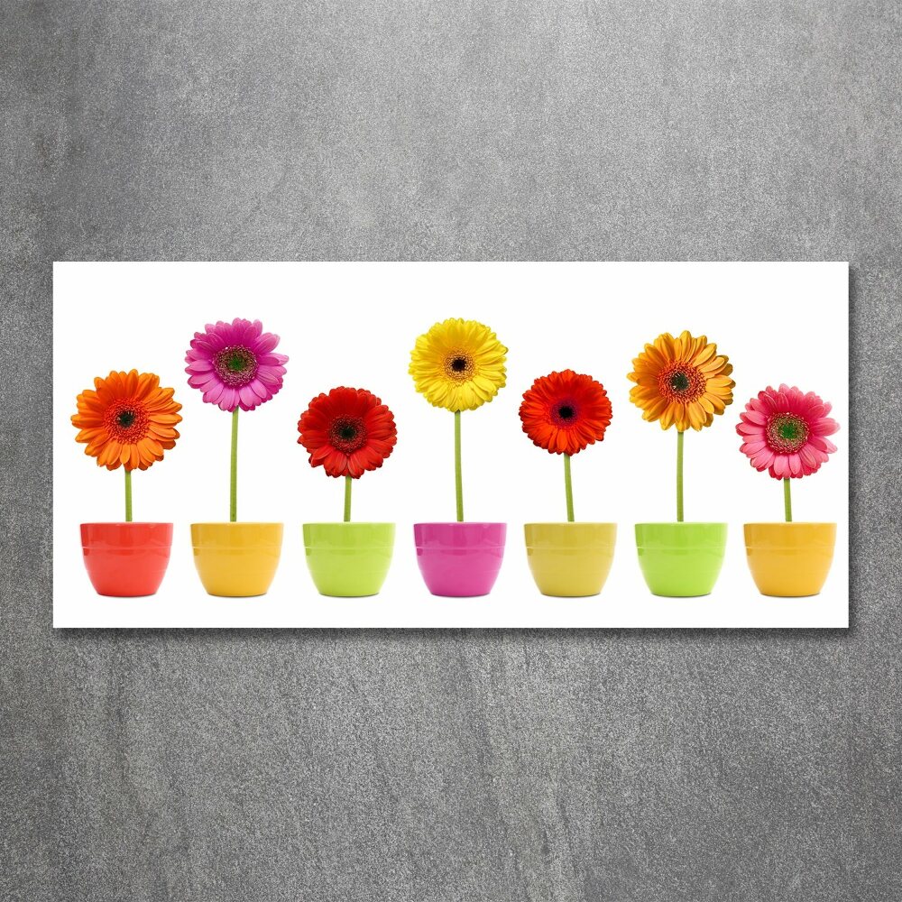 Tableau en acrylique Gerberas colorés