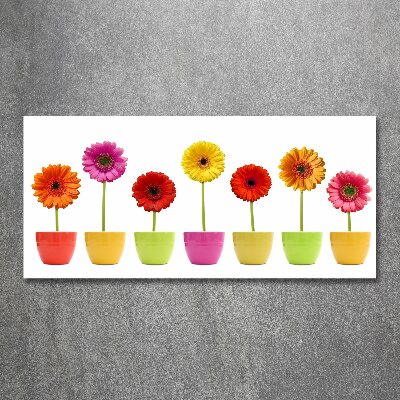 Tableau en acrylique Gerberas colorés