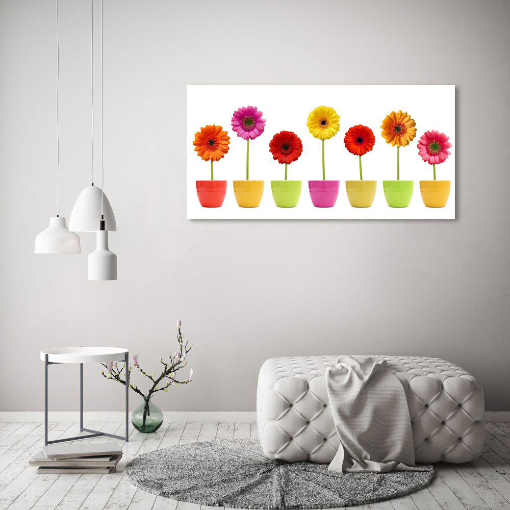 Tableau en acrylique Gerberas colorés