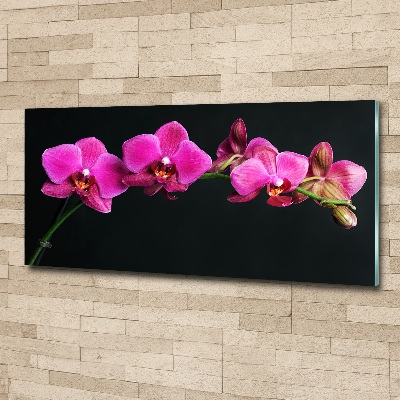 Acrylique tableau Fleur de l'orchidée