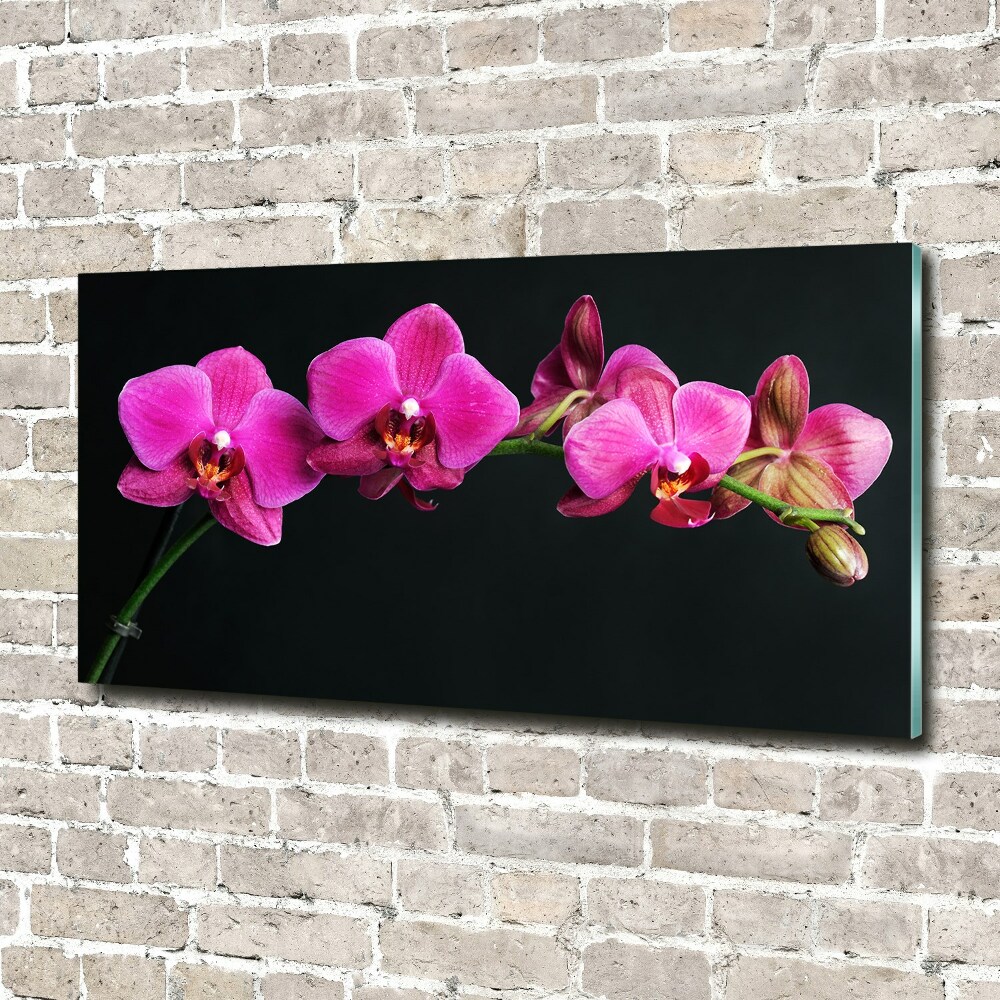 Acrylique tableau Fleur de l'orchidée