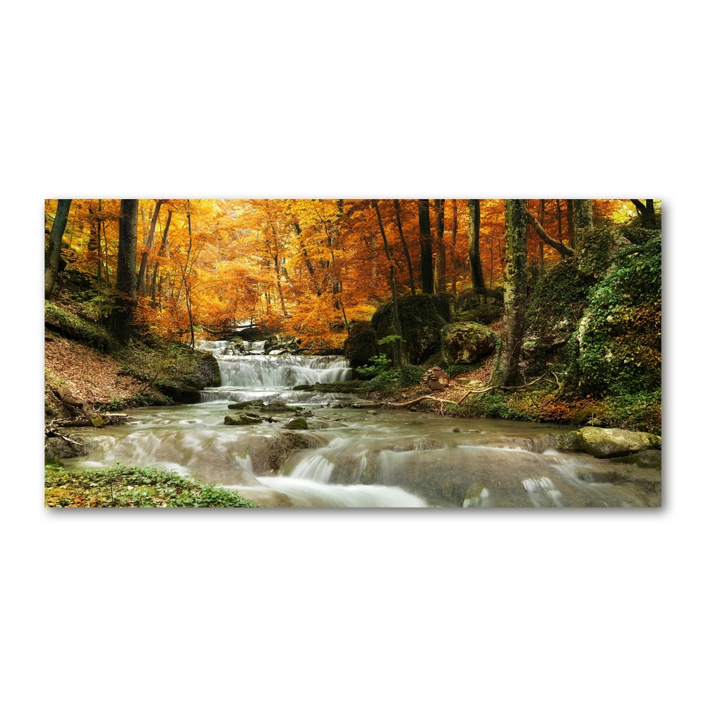 Tableau verre acrylique Cascade en forêt