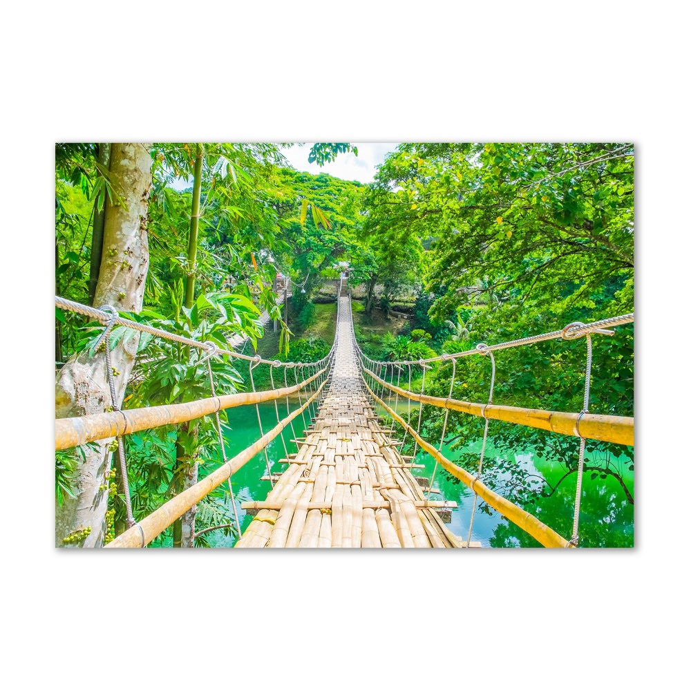 Tableau sur verre acrylique Le pont de la forêt de bambous