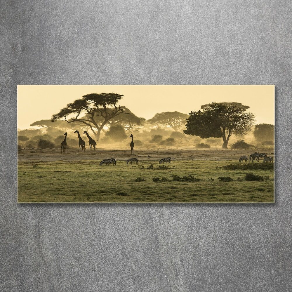 Tableau sur verre acrylique Girafes dans la savane