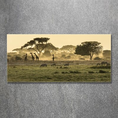 Tableau sur verre acrylique Girafes dans la savane