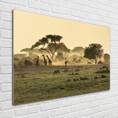 Tableau sur verre acrylique Girafes dans la savane