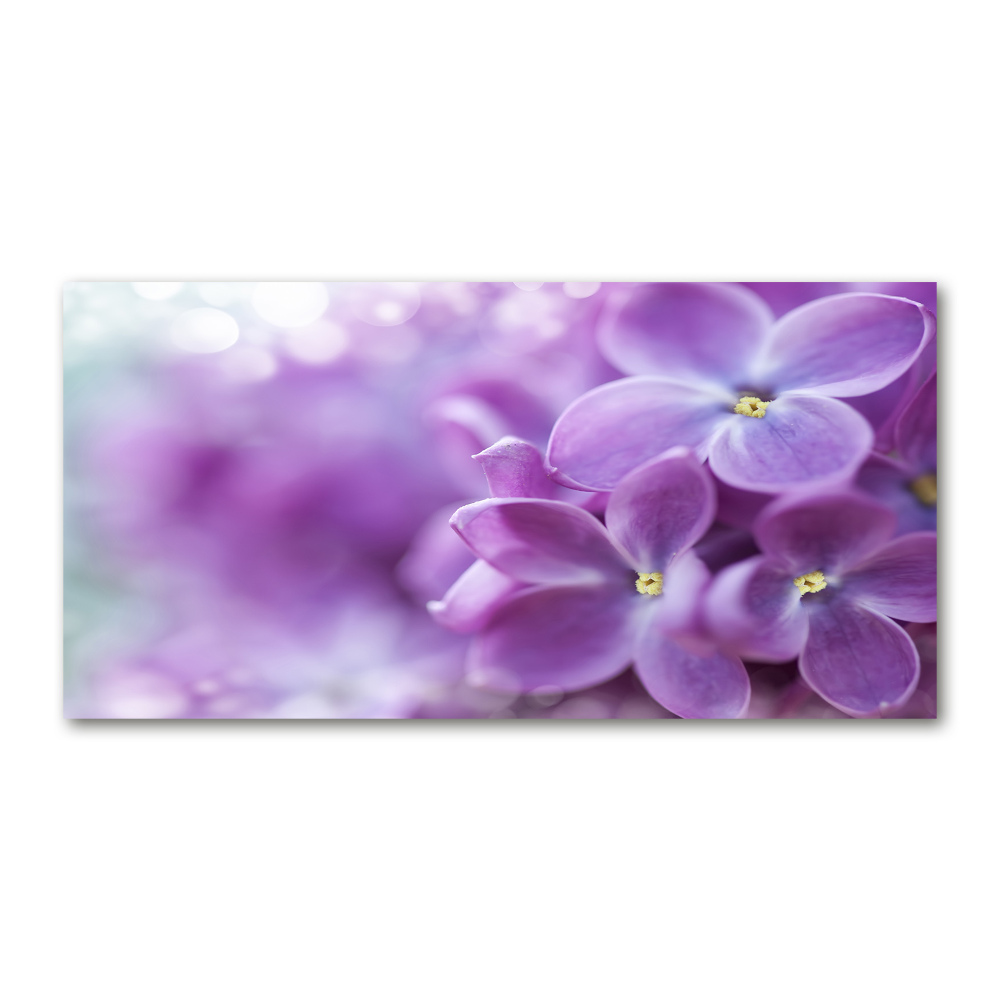 Tableau verre acrylique Fleurs de lilas