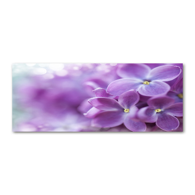 Tableau verre acrylique Fleurs de lilas