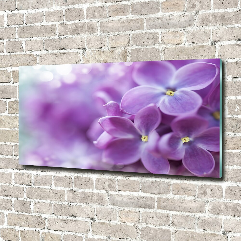 Tableau verre acrylique Fleurs de lilas