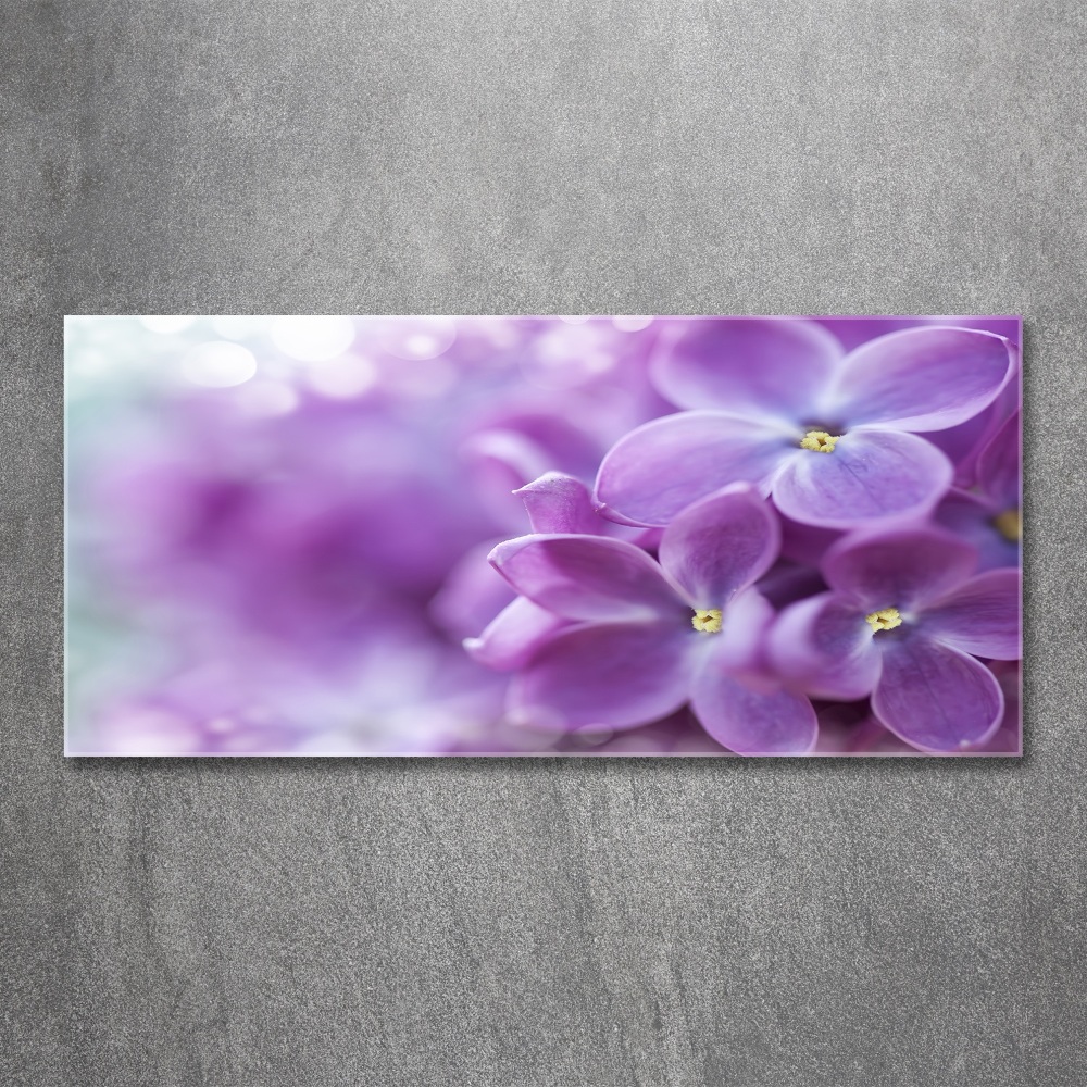 Tableau verre acrylique Fleurs de lilas