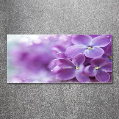 Tableau verre acrylique Fleurs de lilas