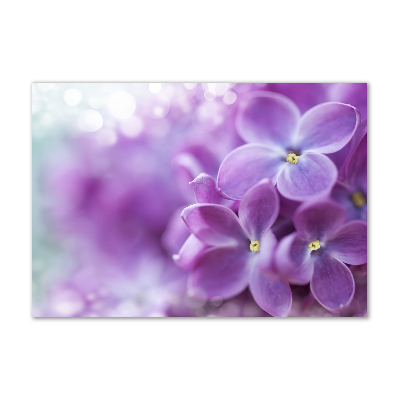 Tableau verre acrylique Fleurs de lilas