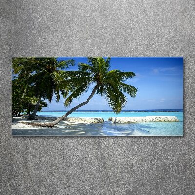 Tableau acrylique Plage exotique