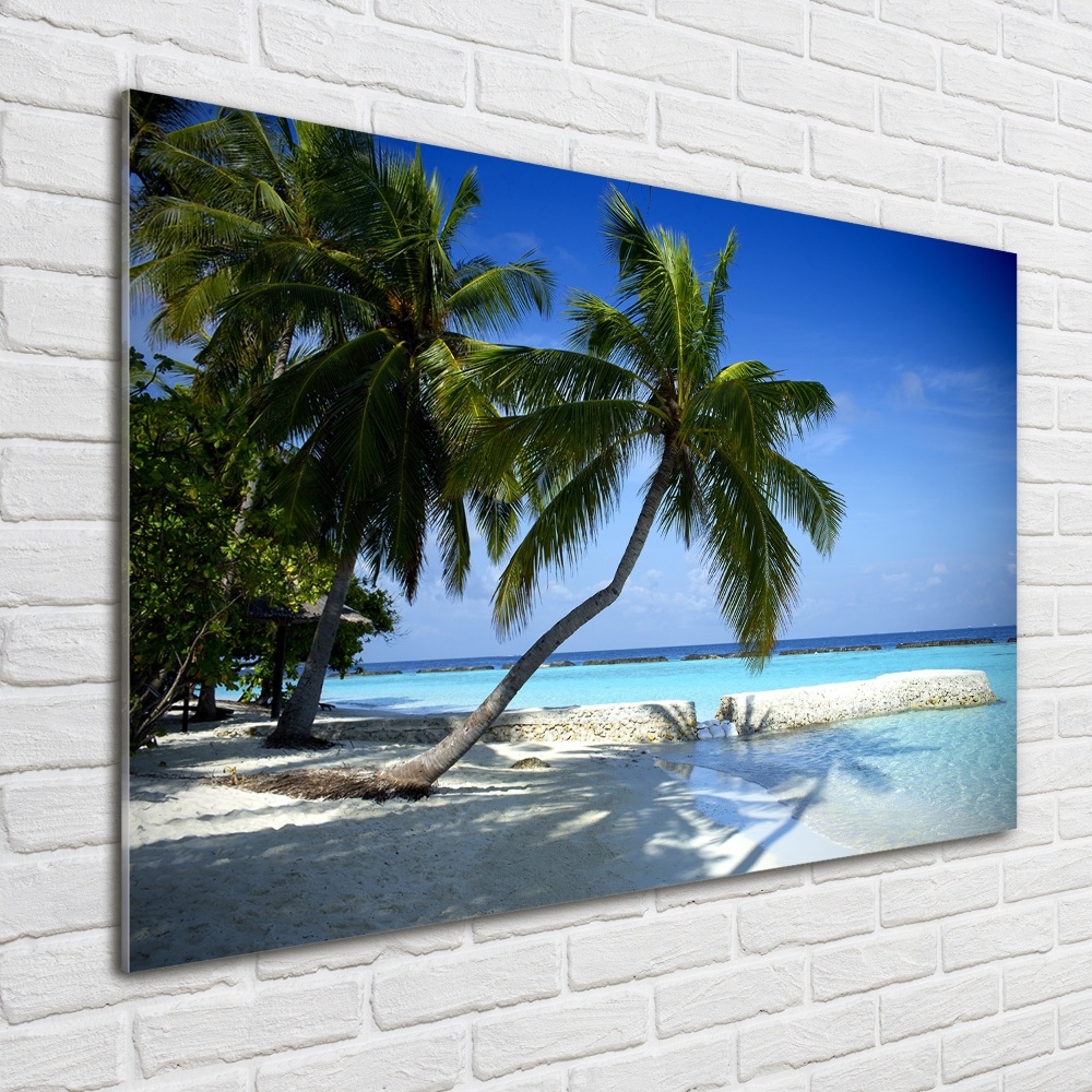 Tableau acrylique Plage exotique