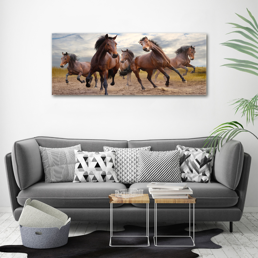 Tableau verre acrylique Cinq chevaux