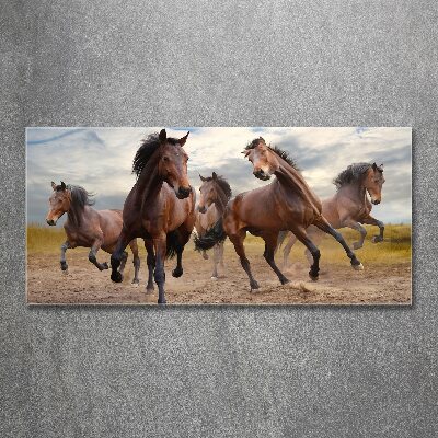 Tableau verre acrylique Cinq chevaux