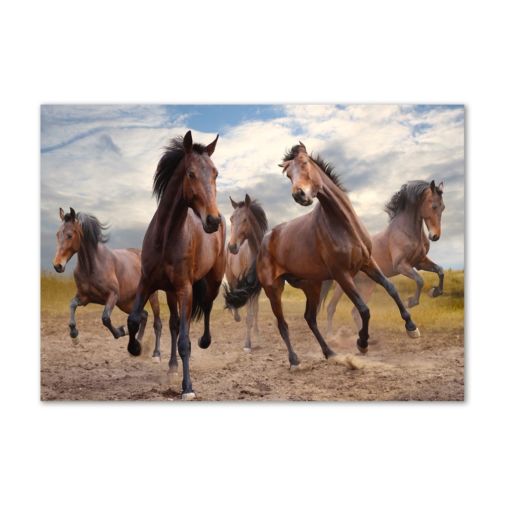 Tableau verre acrylique Cinq chevaux