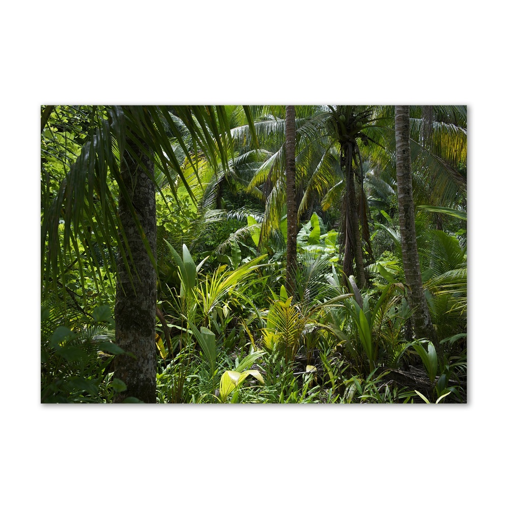 Tableau en acrylique Forêt tropicale