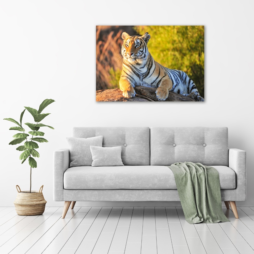 Tableau sur verre acrylique Portrait d'un tigre