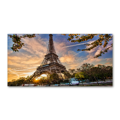 Tableau en acrylique Tour Eiffel signe de la France