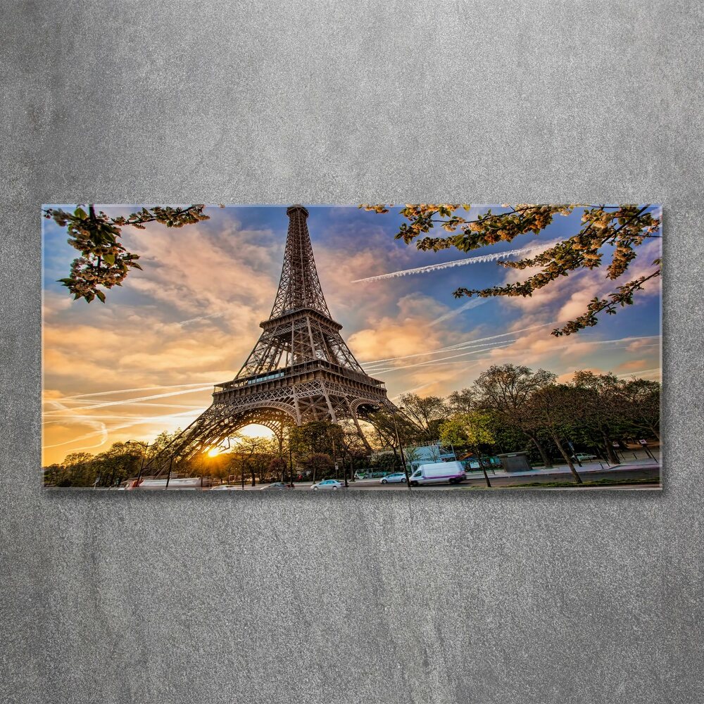 Tableau en acrylique Tour Eiffel signe de la France