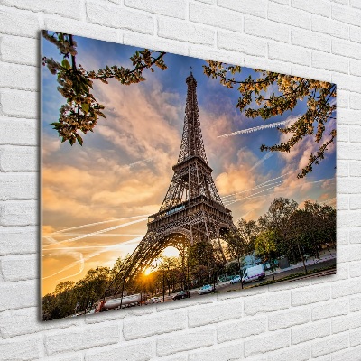 Tableau en acrylique Tour Eiffel signe de la France