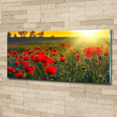 Tableau en acrylique Champ de coquelicots