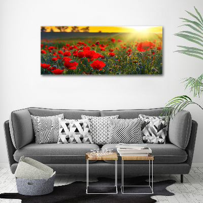 Tableau en acrylique Champ de coquelicots