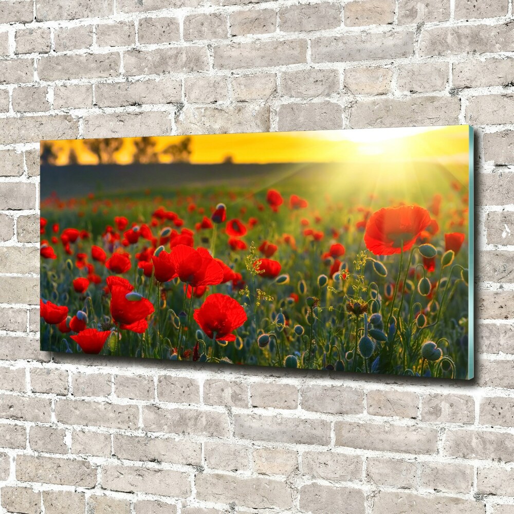 Tableau en acrylique Champ de coquelicots