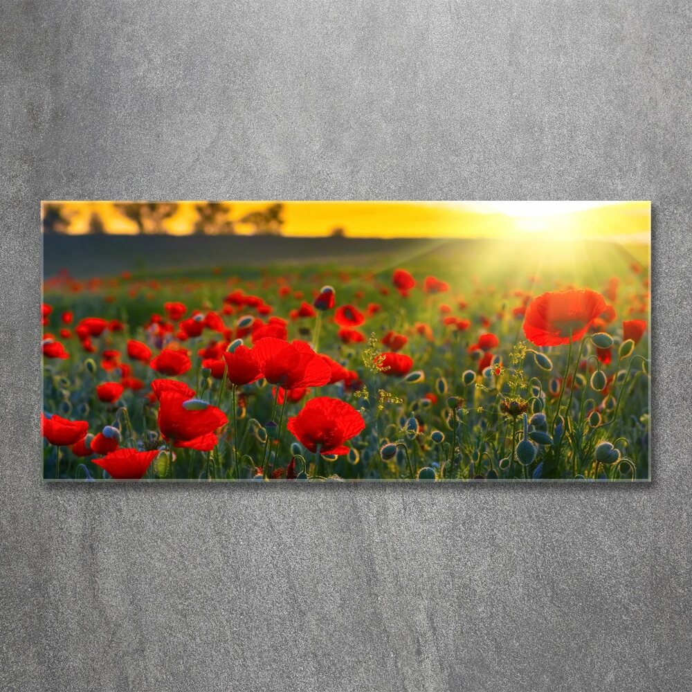 Tableau en acrylique Champ de coquelicots