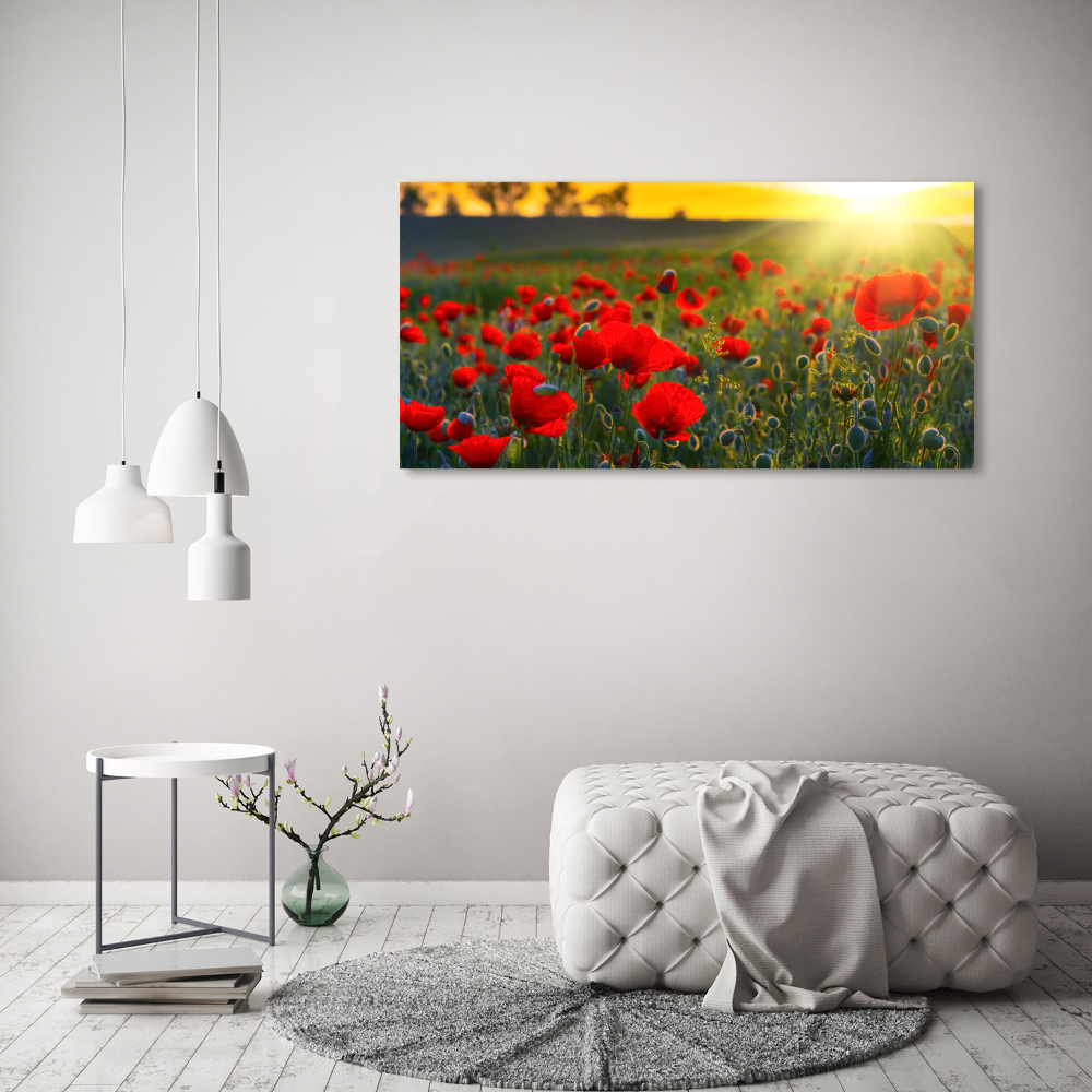 Tableau en acrylique Champ de coquelicots