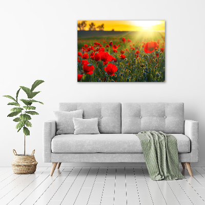 Tableau en acrylique Champ de coquelicots