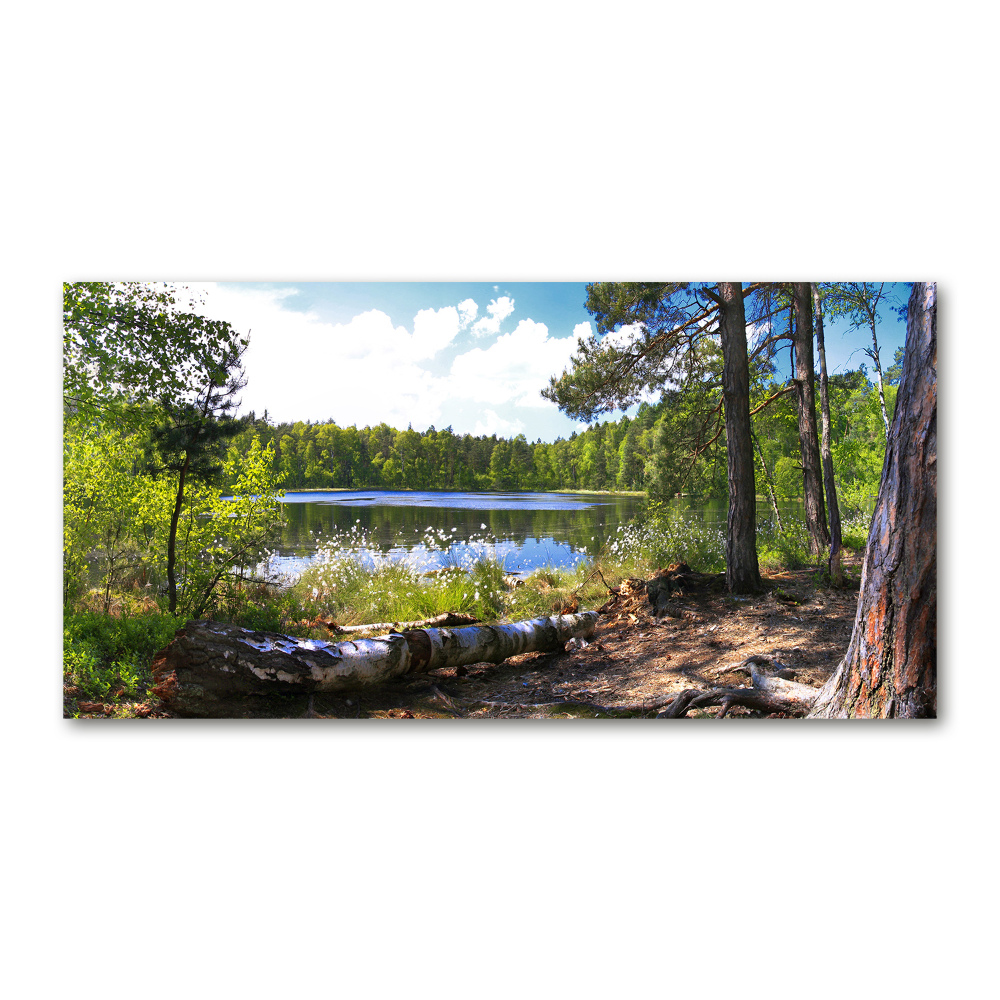 Tableau acrylique Panorama de la forêt