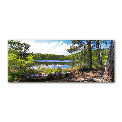 Tableau acrylique Panorama de la forêt