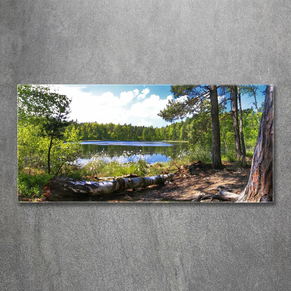 Tableau acrylique Panorama de la forêt