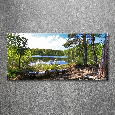 Tableau acrylique Panorama de la forêt