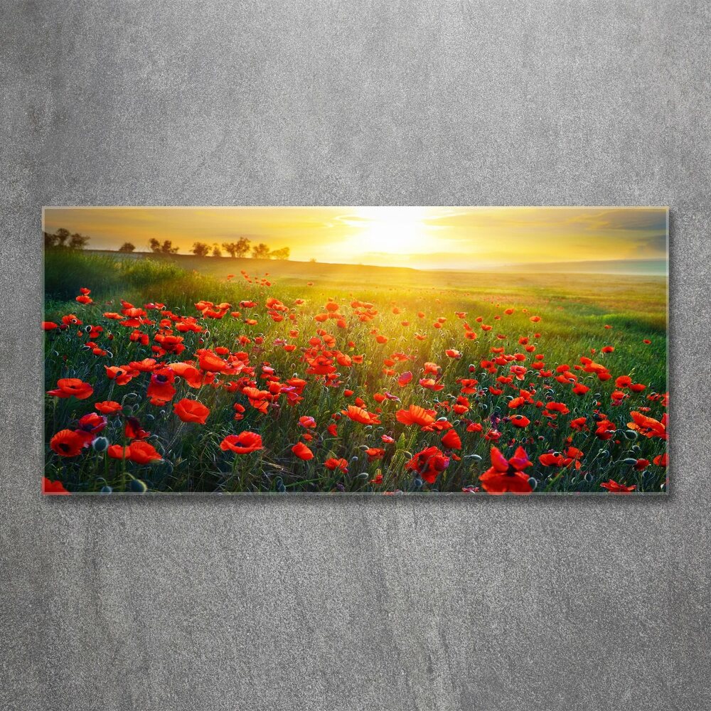 Tableau verre acrylique Champ de coquelicots