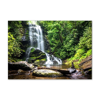 Tableau sur verre acrylique Cascade en forêt