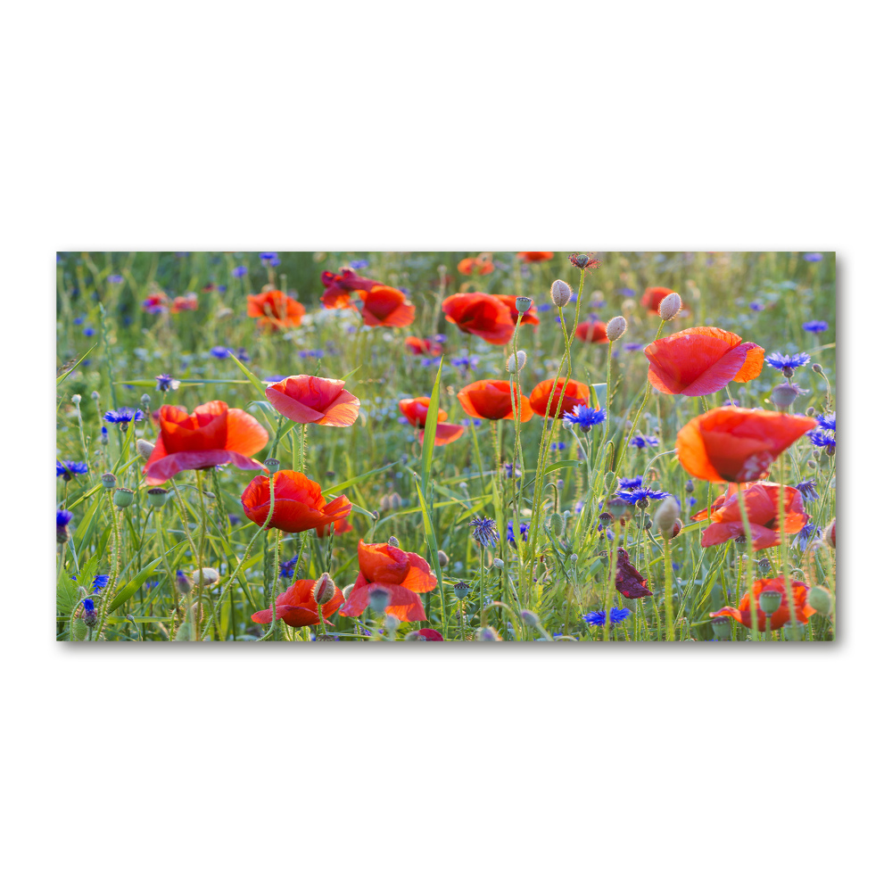 Acrylique tableau Fleurs des champs