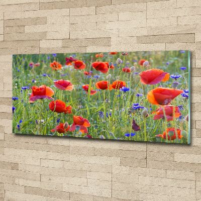 Acrylique tableau Fleurs des champs