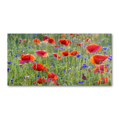 Acrylique tableau Fleurs des champs